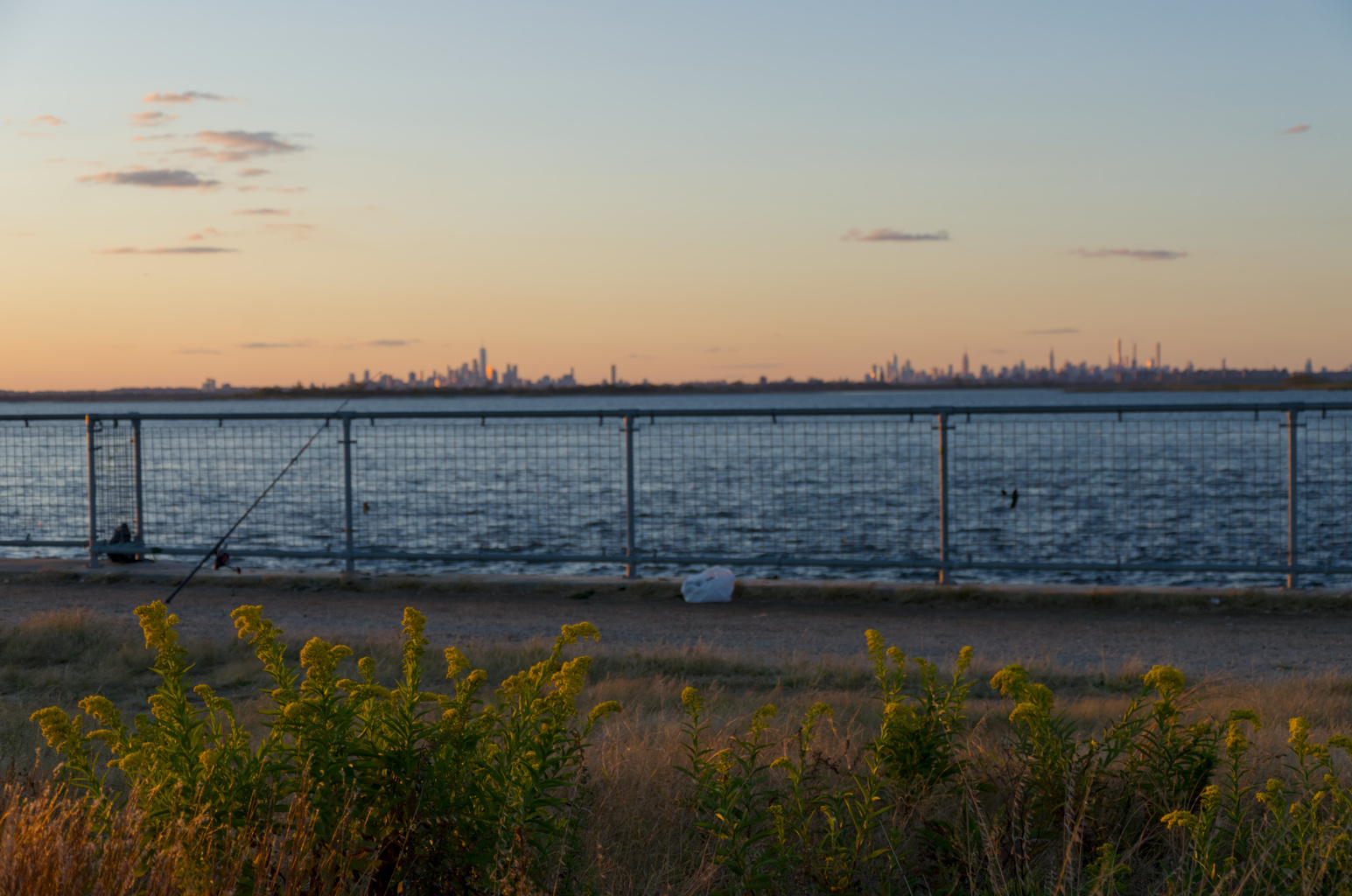 Sunset view from Rockaway Peninsula of the New York City skyline in the distance across an expanse of water. There are yellow flowers, a metal fence, a fishing pole, and a plastic bag in the foreground.